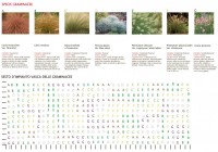 /album/galleria-fotografica/land11-jpg/