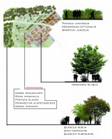 /album/galleria-foto-progetti/a9-jpg/